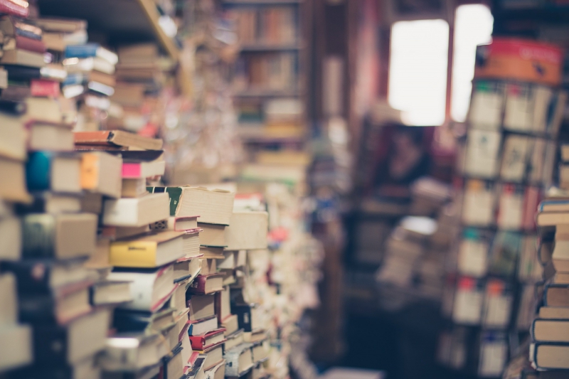 bibliotheque-GATTIERES-min_books-1163695