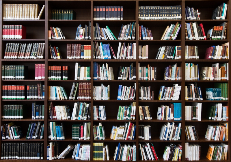 bibliotheque-GATTIERES-min_books-2463779